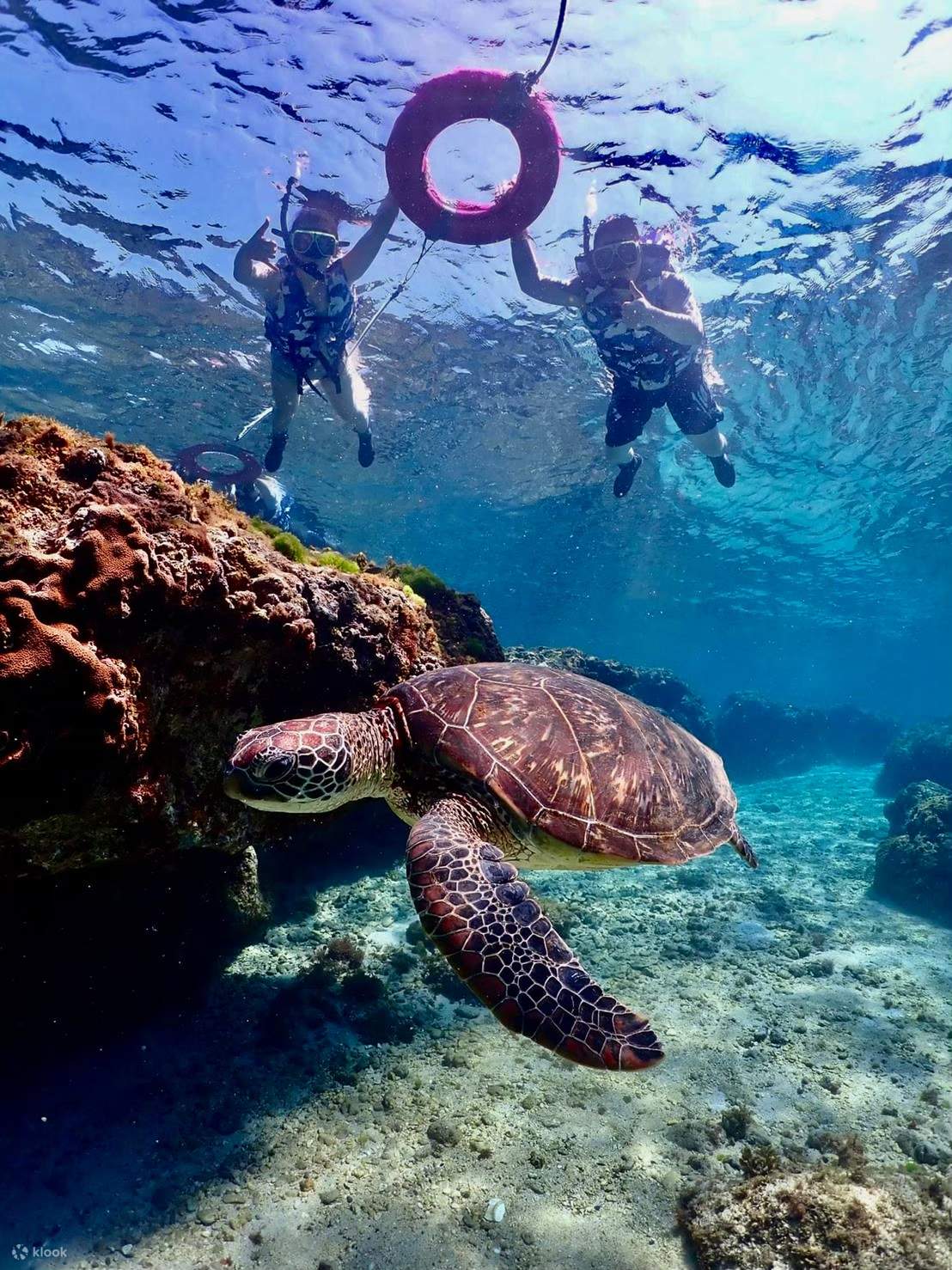 Seseorang sedang snorkeling