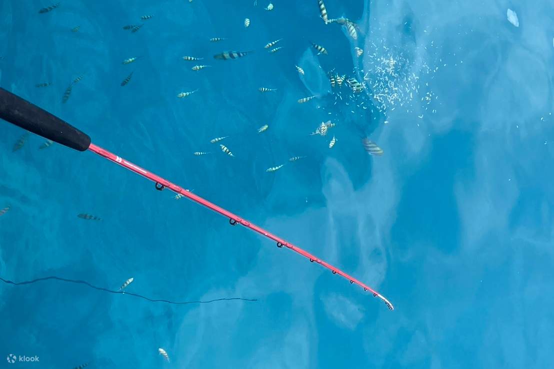 Raft fishing experience (Okinawa) - Klook