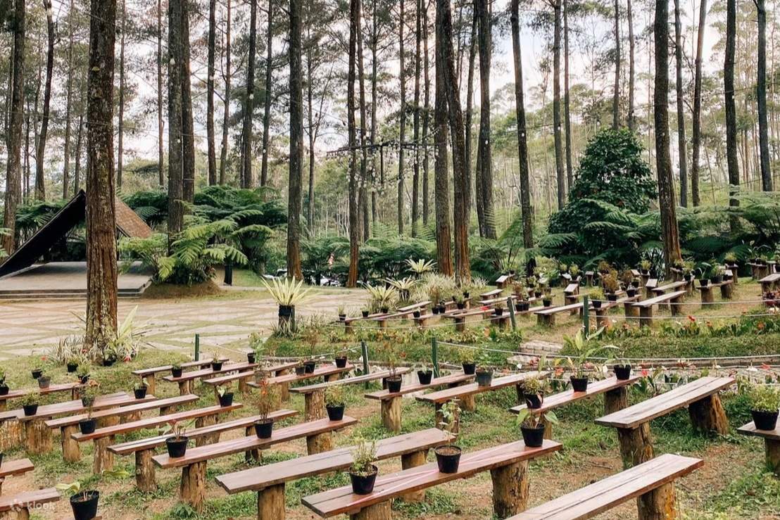 Tiket Orchid Forest Cikole di Klook