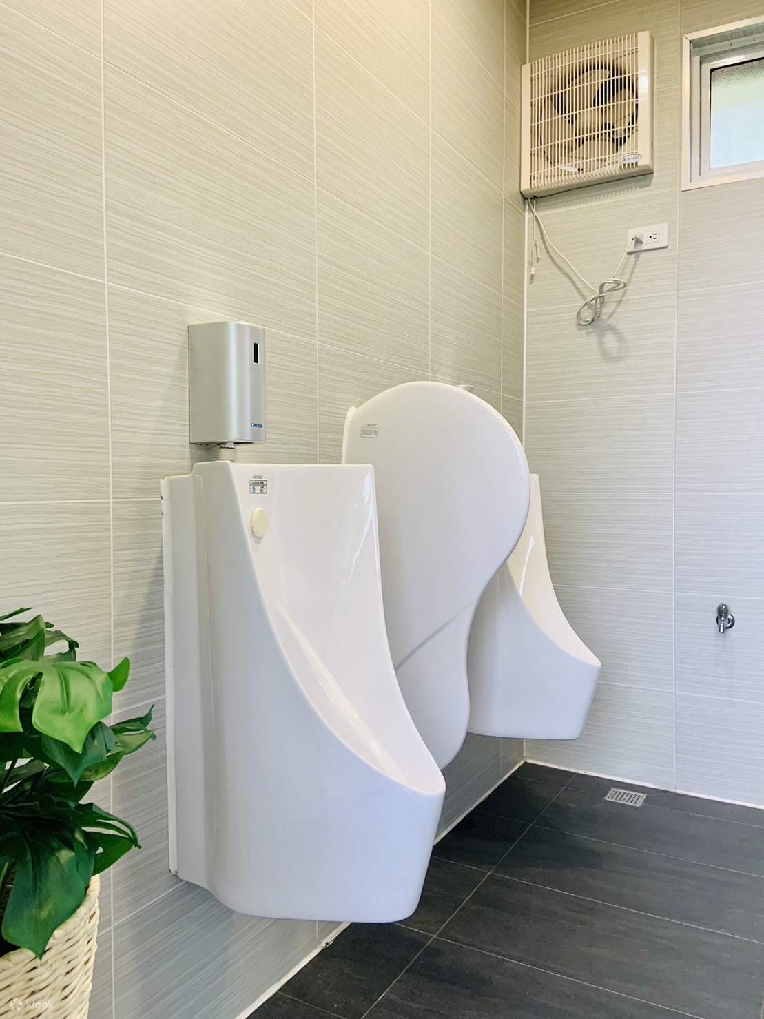 Khu cắm trại Dona Doru