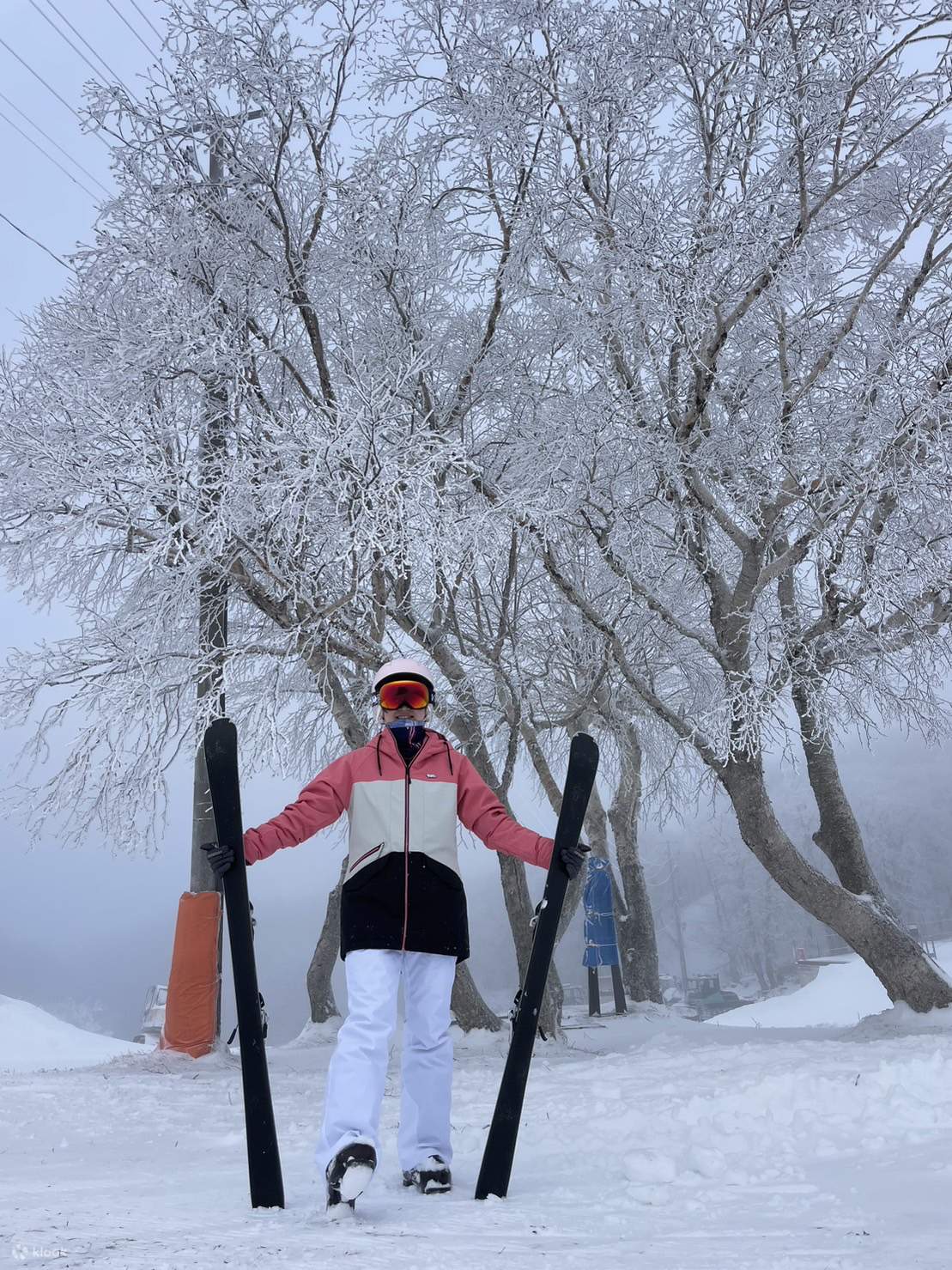 Yamagata Zao, Tohoku, Japan｜Private skiing lesson 3/6 hours