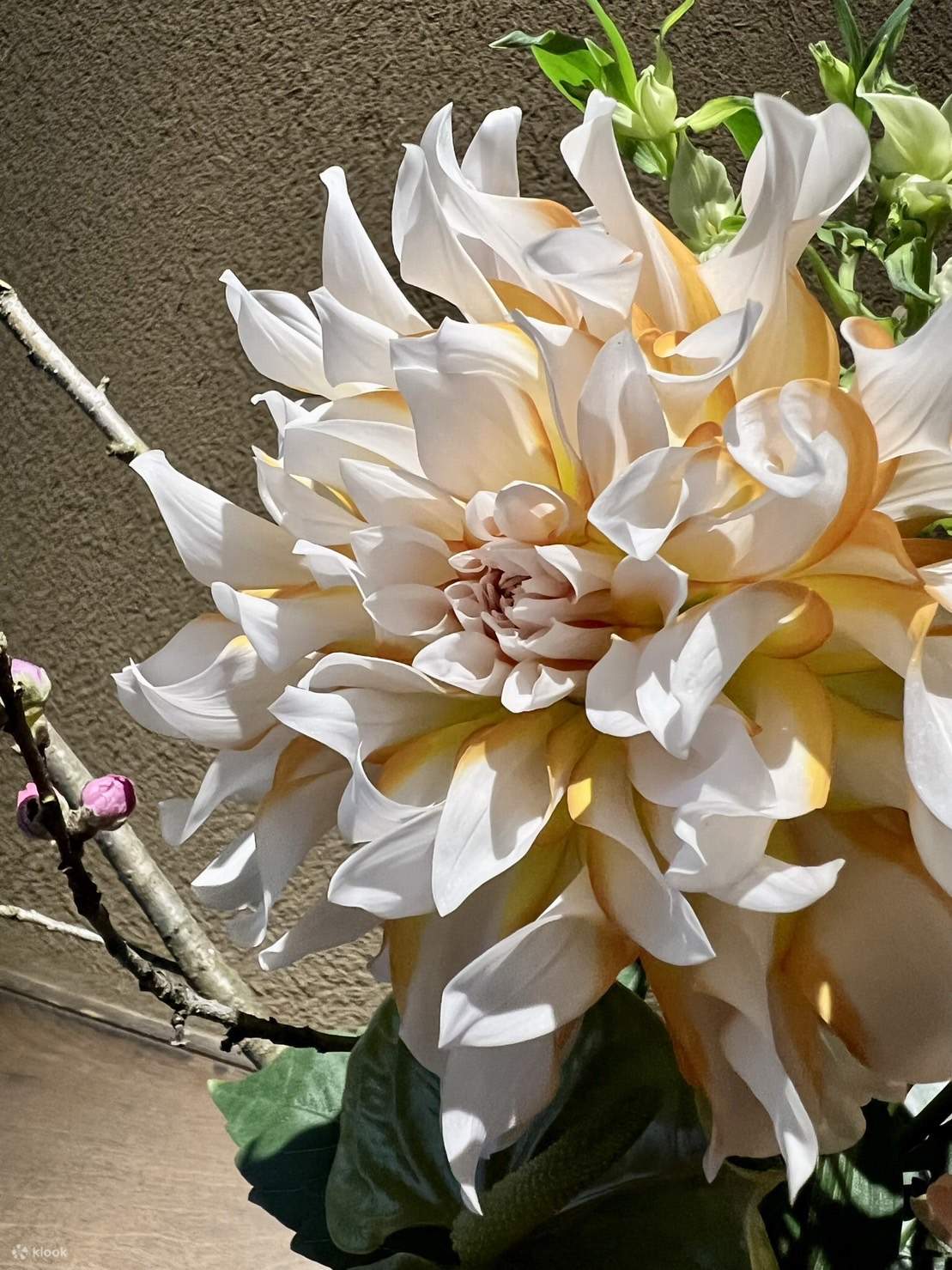 Kyoto Flower Arrangement Experience DIY Klook