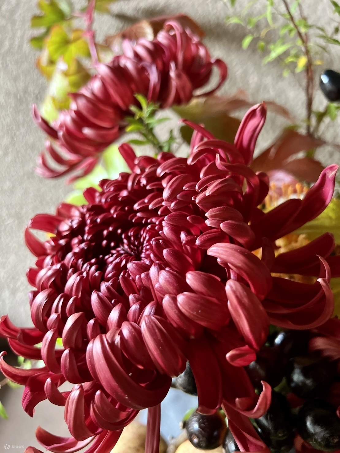 Kyoto Flower Arrangement Experience DIY Klook