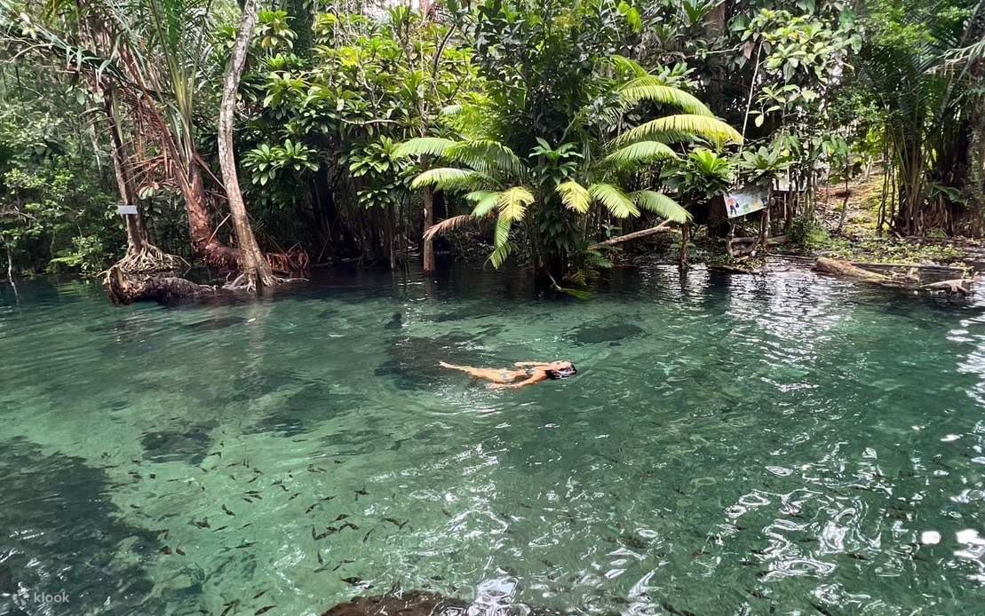 Un'acqua limpida nella foresta, puoi nuotare come su uno specchio d'acqua