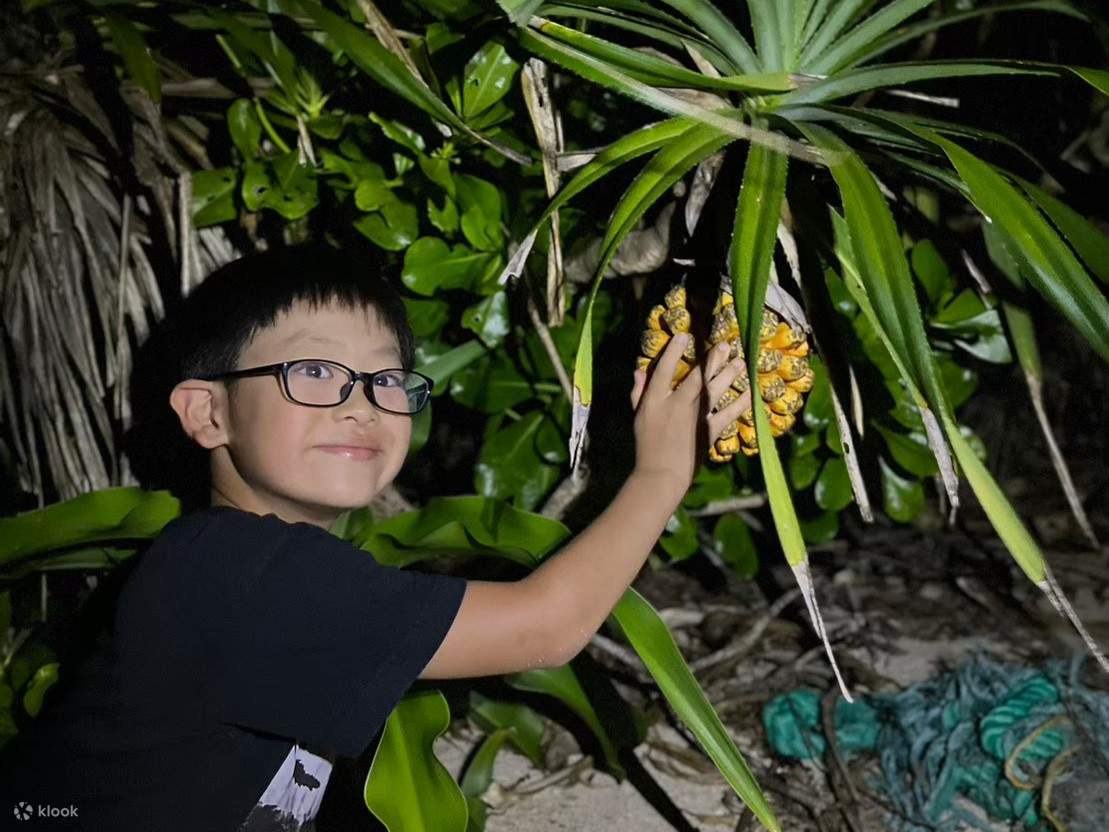 [Ishigaki Island/Night] Stargazing & Jungle Night Tour