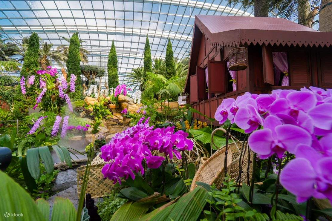 gardens by the bay chinese new year 2025