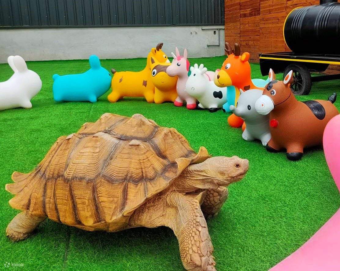 宜蘭回巢 Homing 荒野沙漠農場門票