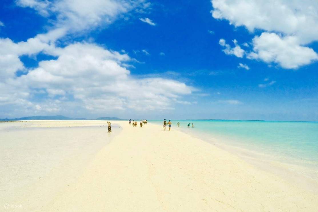 ทัวร์เกาะมายาแห่งอิชิกากิ & สน็อกเกิล/ดำน้ำตื้น