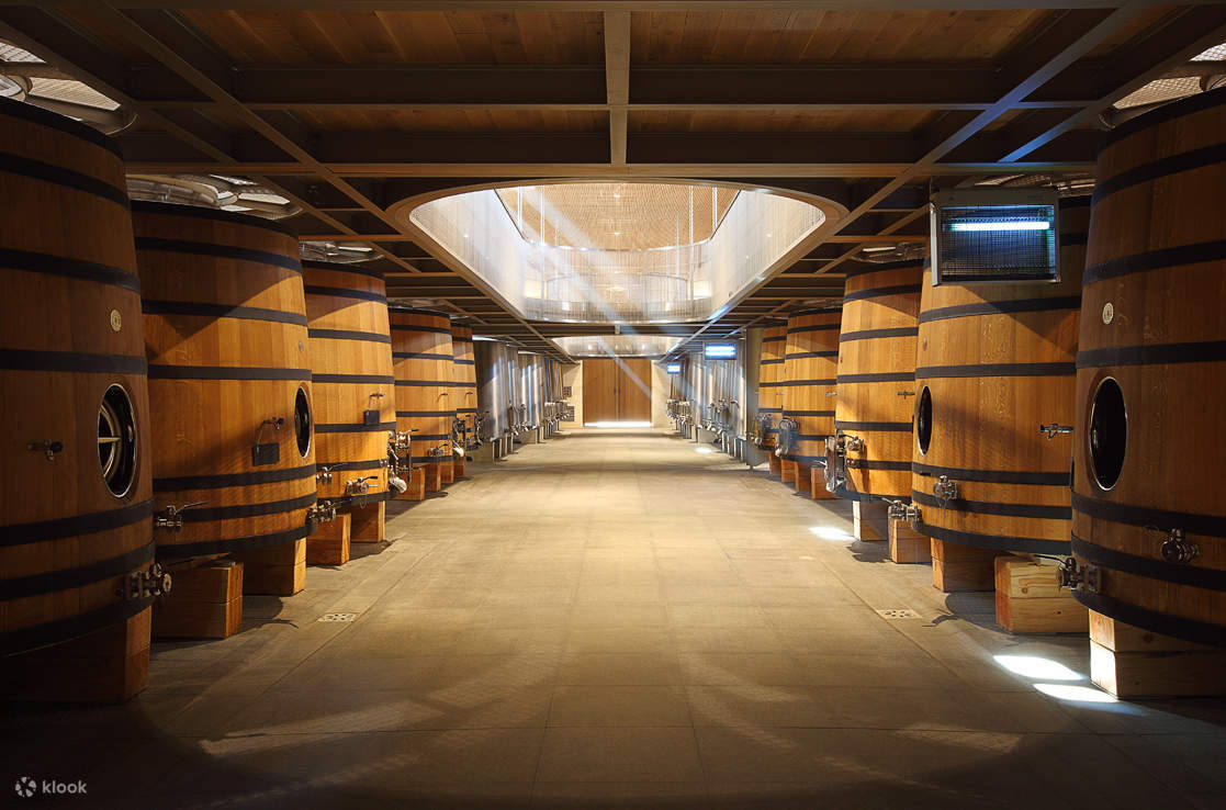 Saint-Emilion Afternoon Wine Tour from Bordeaux - Klook