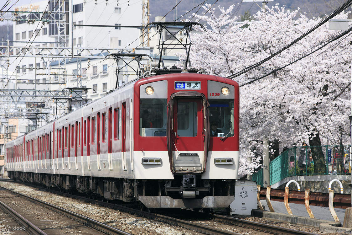 日本关西近铁电车周游券