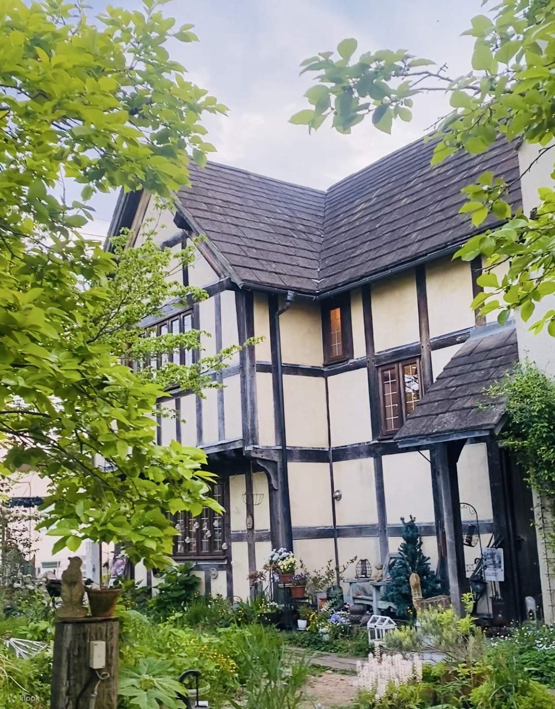 A completely private healing space, with a unique atmosphere reminiscent of the world of Ghibli.