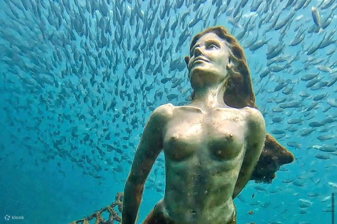 人魚と一緒に泳ごう！