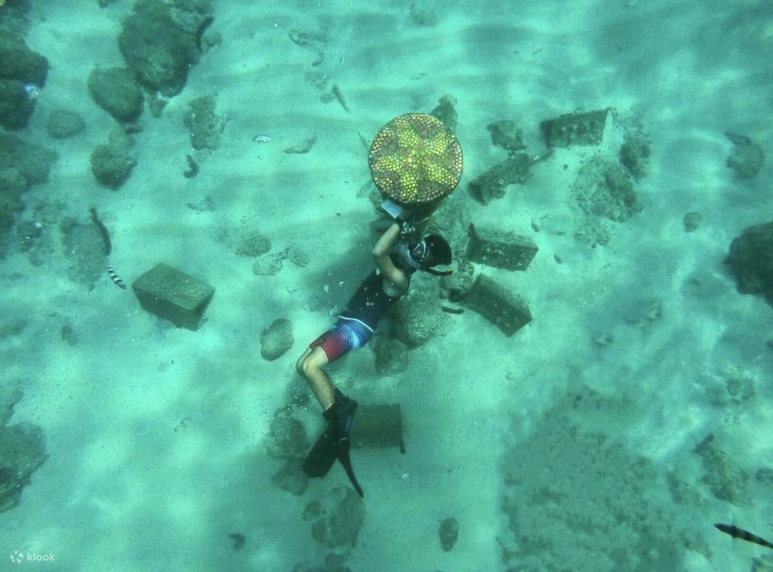 Esperienza SUP sulla spiaggia. Snorkeling