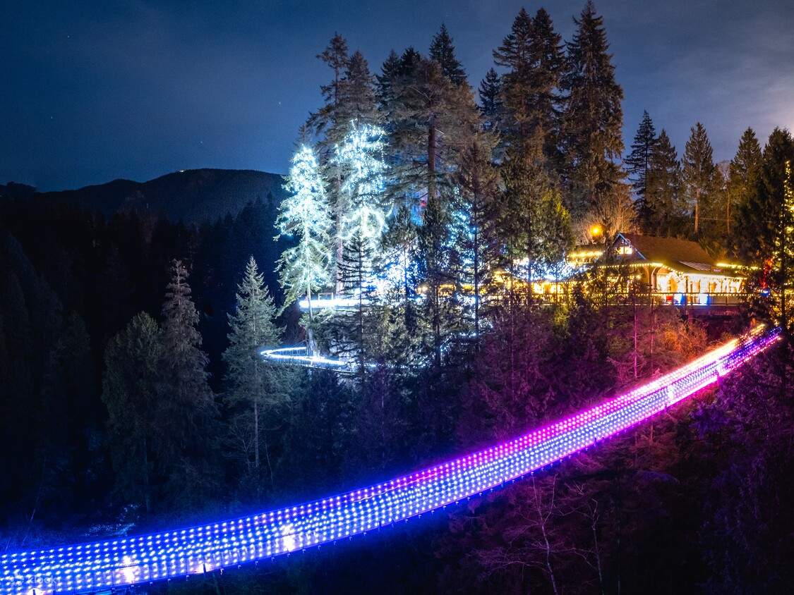 บัตรเข้าชมสะพานแขวนคาปิลาโนในแวนคูเวอร์