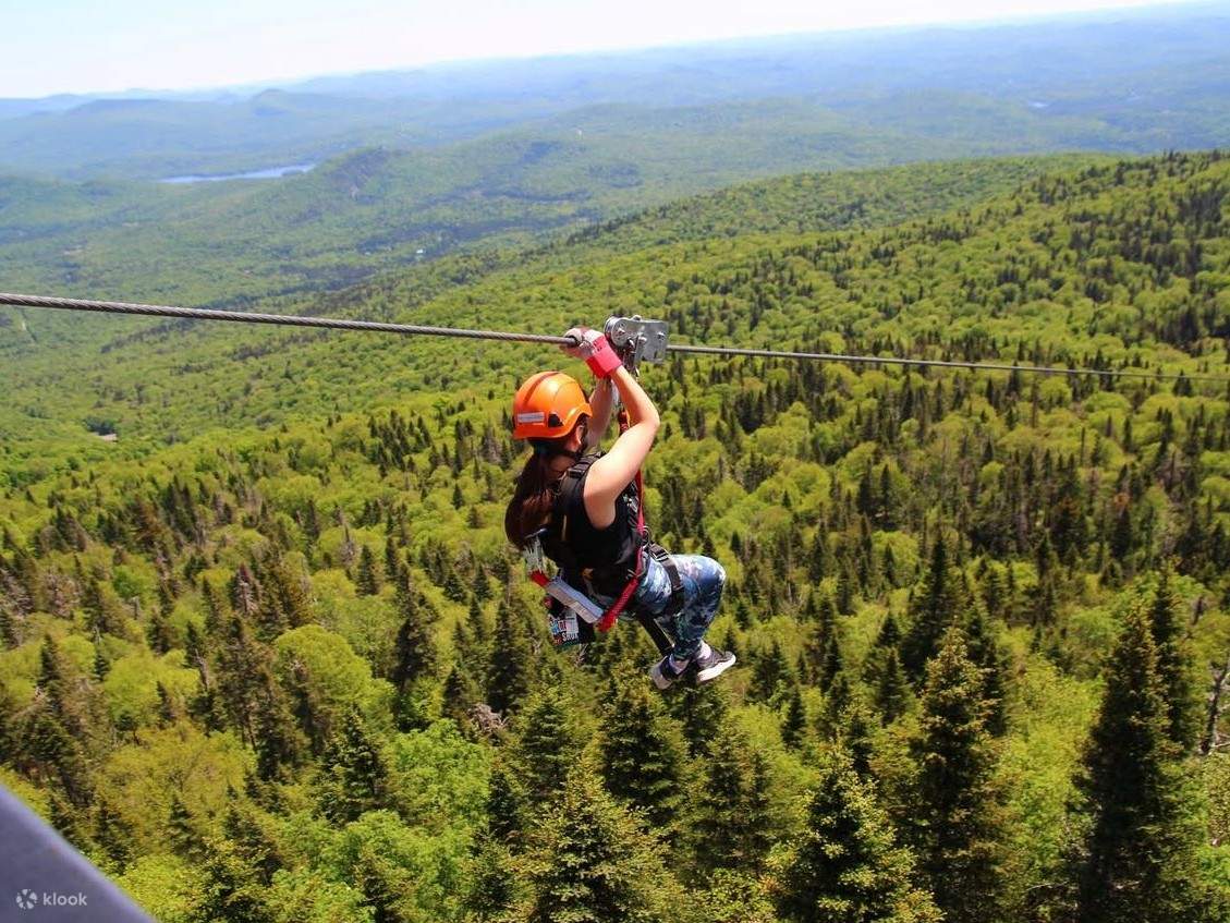 Librati sopra le cime degli alberi durante la tua prima emozionante discesa in teleferica
