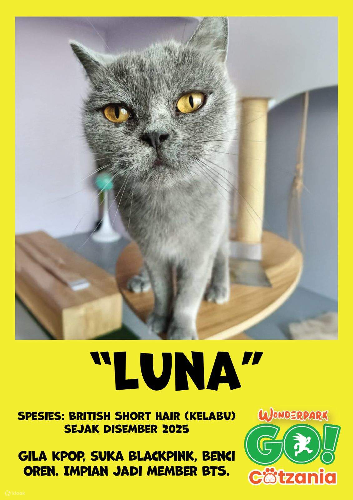 Билет в Wonderpark Go в Куала-Тренгану