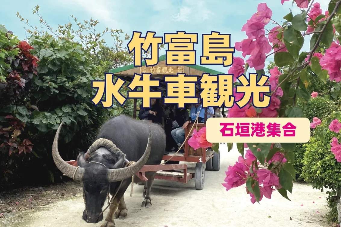 Okinawa Ishigaki Insel Taketomi Insel Wasserbüffelwagen-Tour & Hin- und Rückfahrt Fährticket