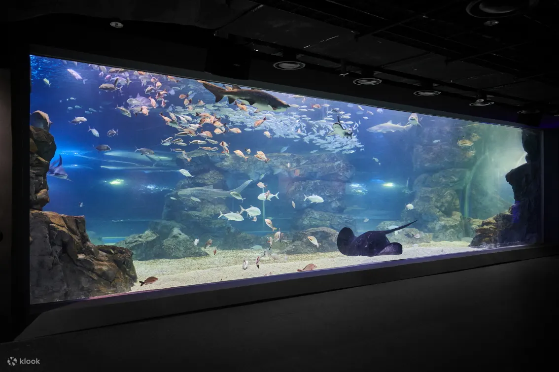 水族馆