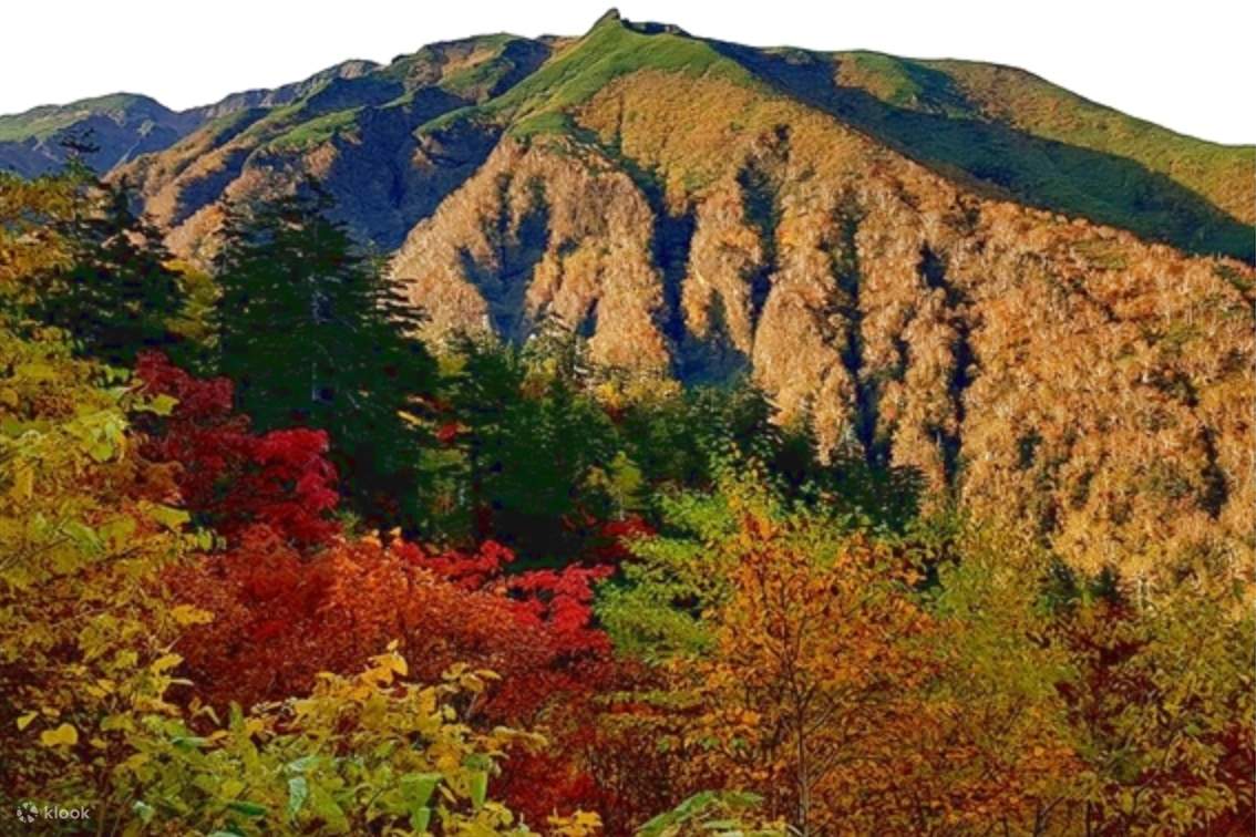 十勝岳温泉 湯元 凌雲閣 入浴チケット（北海道）