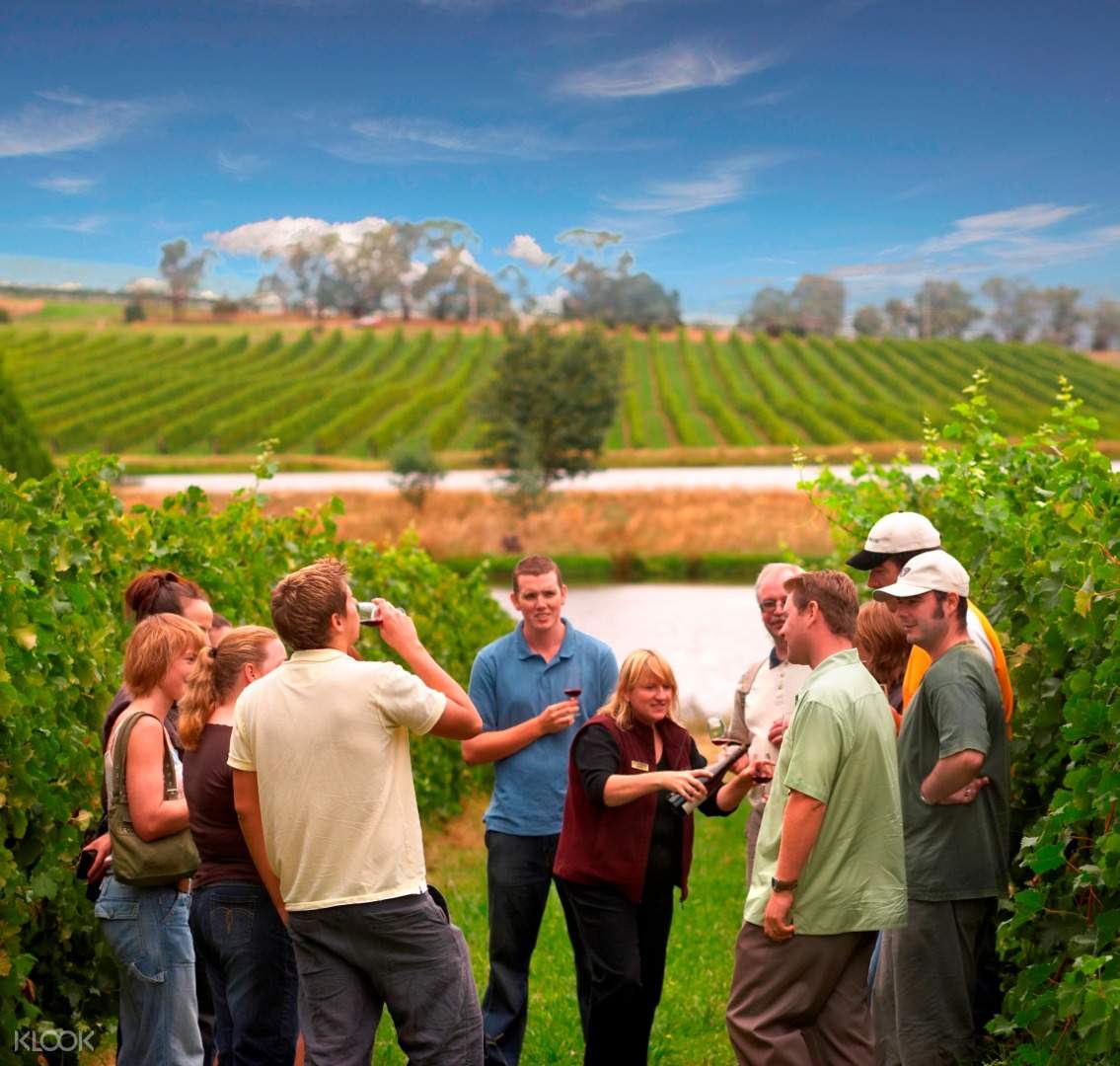 Yarra Valley Wine All-Inclusive Experience Day Tour from Melbourne - Klook India