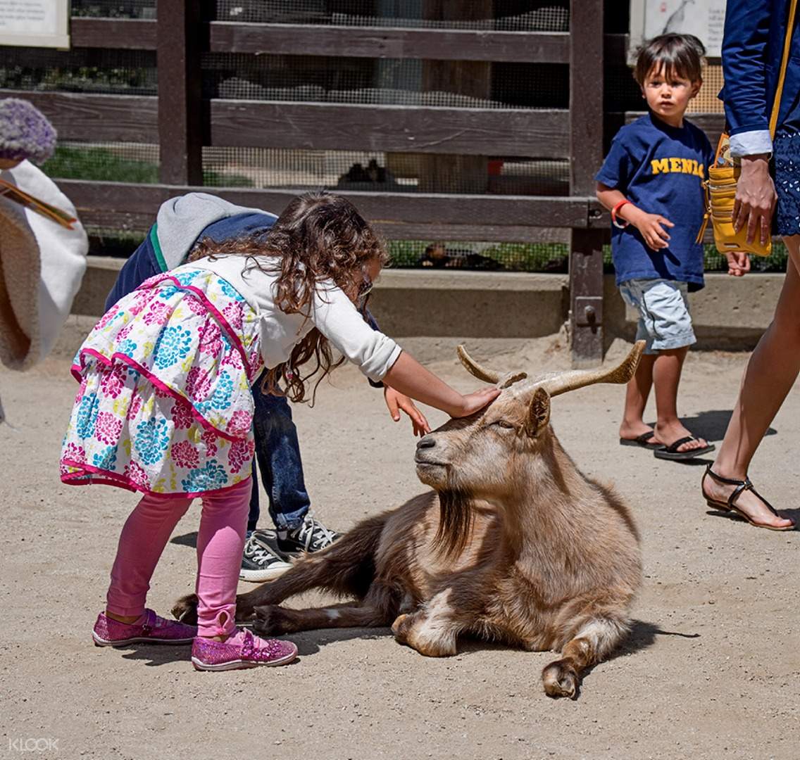 [SALE] San Francisco Zoo and Gardens Admission Ticket Ticket KD