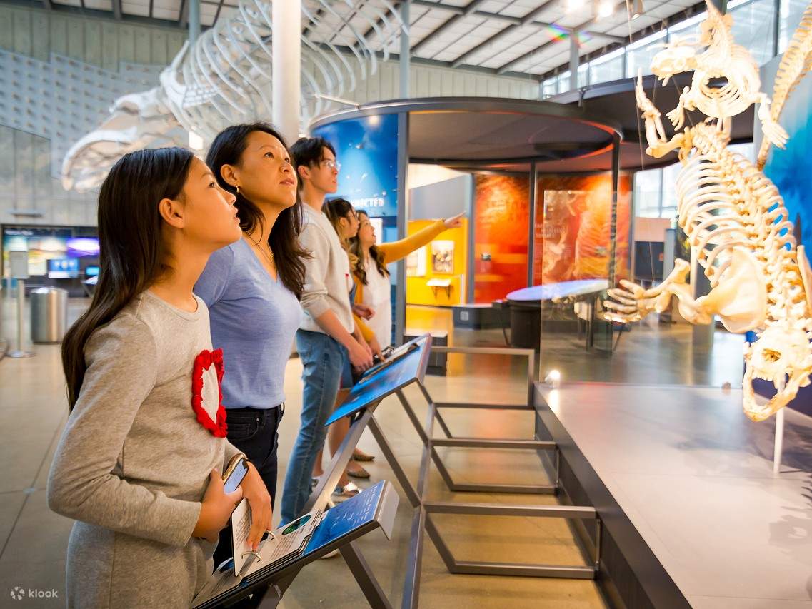 Brothers Science Museum Pass 2022