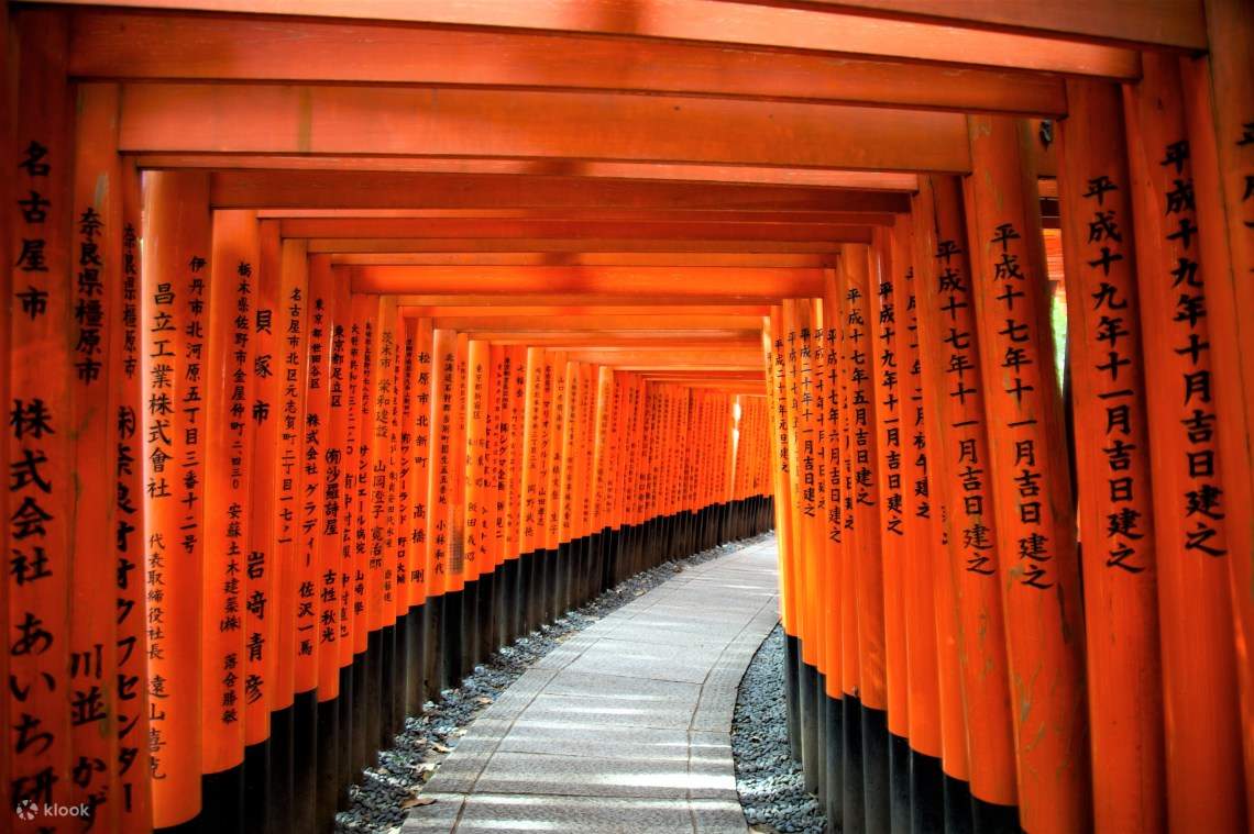 Fushimi Inari-Taisha Shrine Tour with a National Licensed Guide in ...