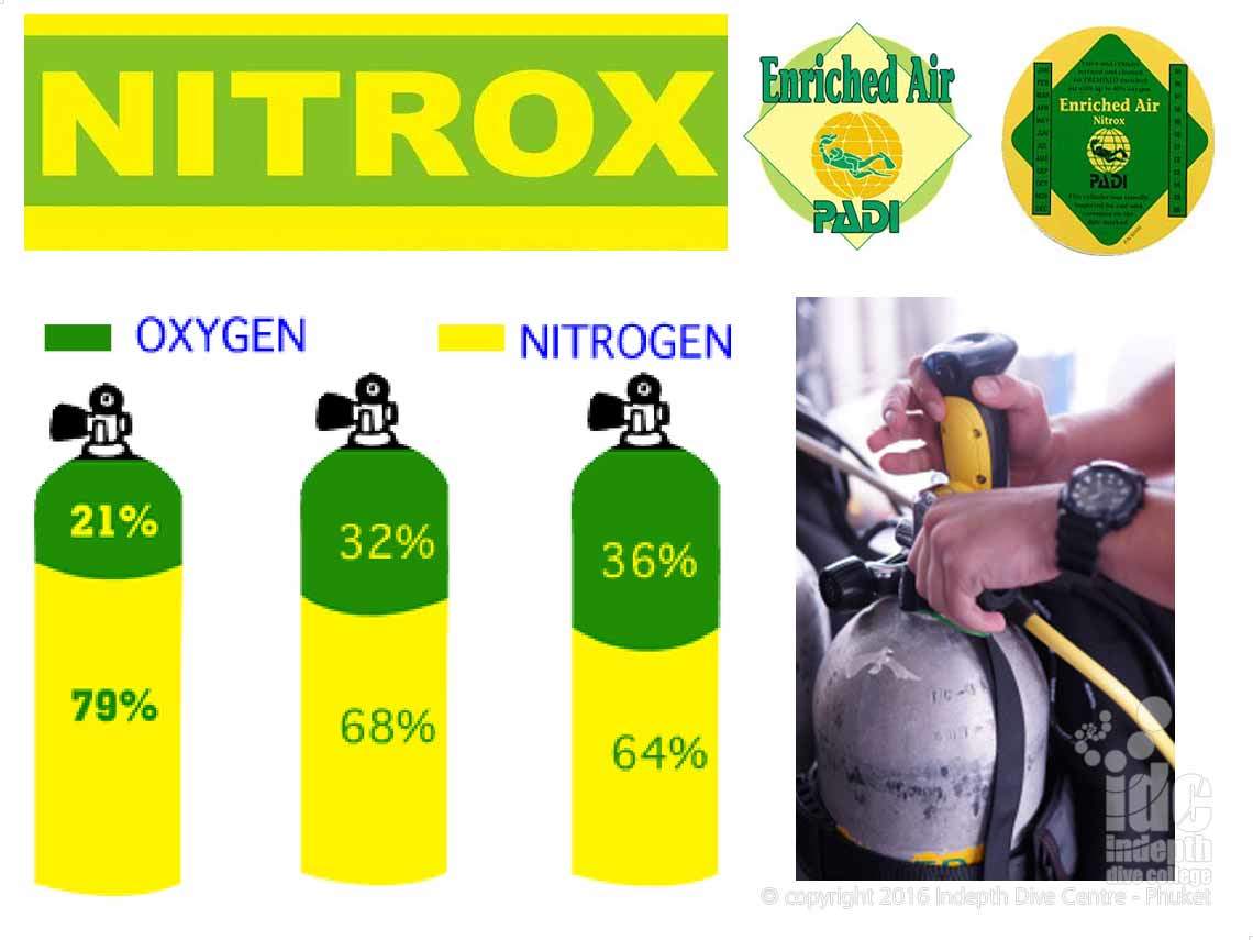 PADI Enriched Air Diver in Bangkok PADI 5 Star Dive Center Klook