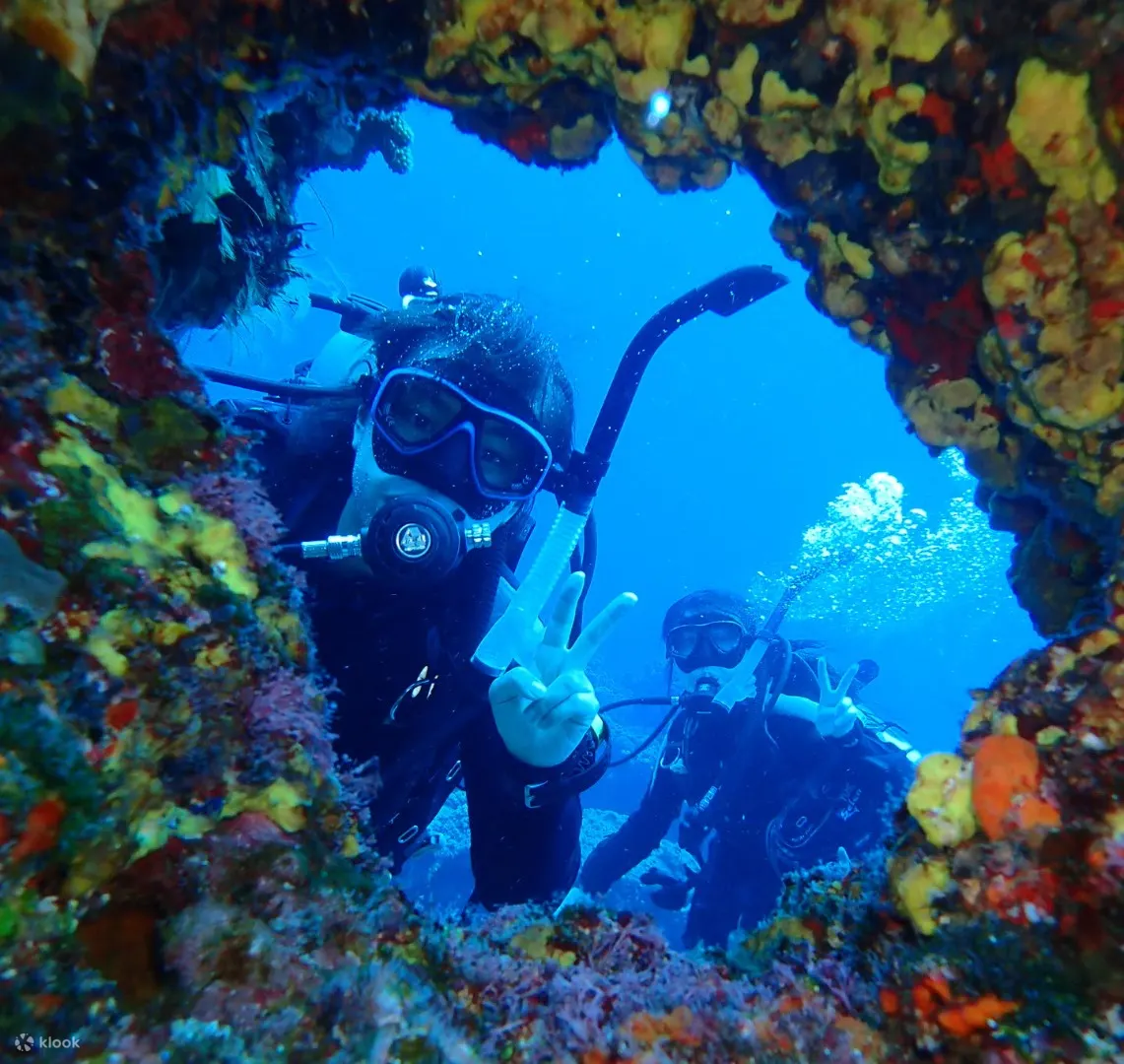 蓝莎潜水中心一对一体验潜水 Discover diving