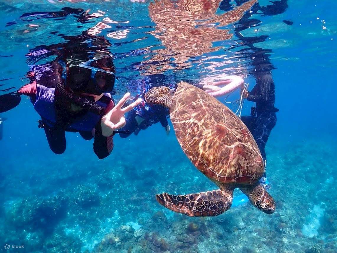 Xiao Liuqiu Yang Guang Kano - Kano · Kano Transparan · Pengalaman Snorkeling