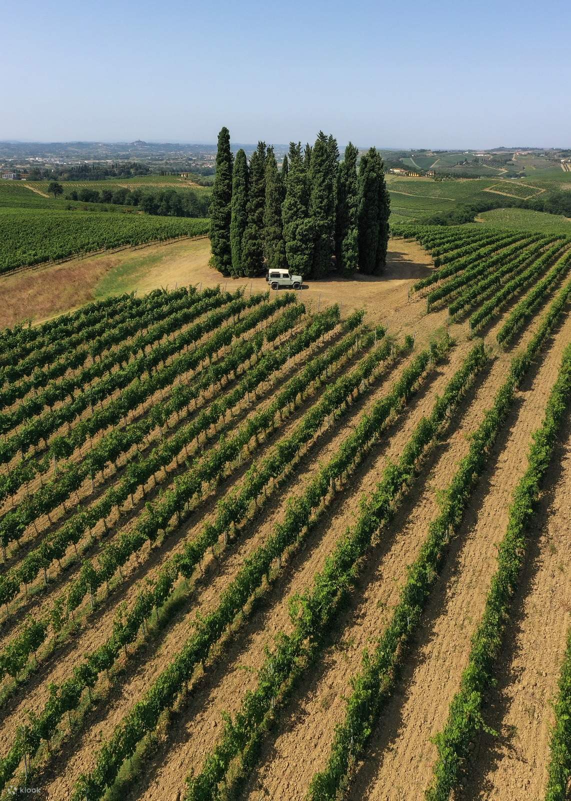 在托斯卡纳乡村中心品尝精美葡萄酒- Klook客路