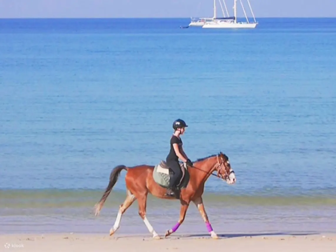 沿着海滩骑行