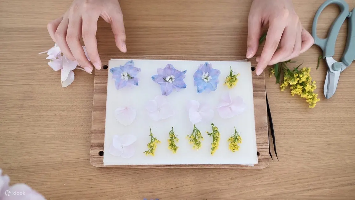 Suet.Fleur, 押花班, 押花
