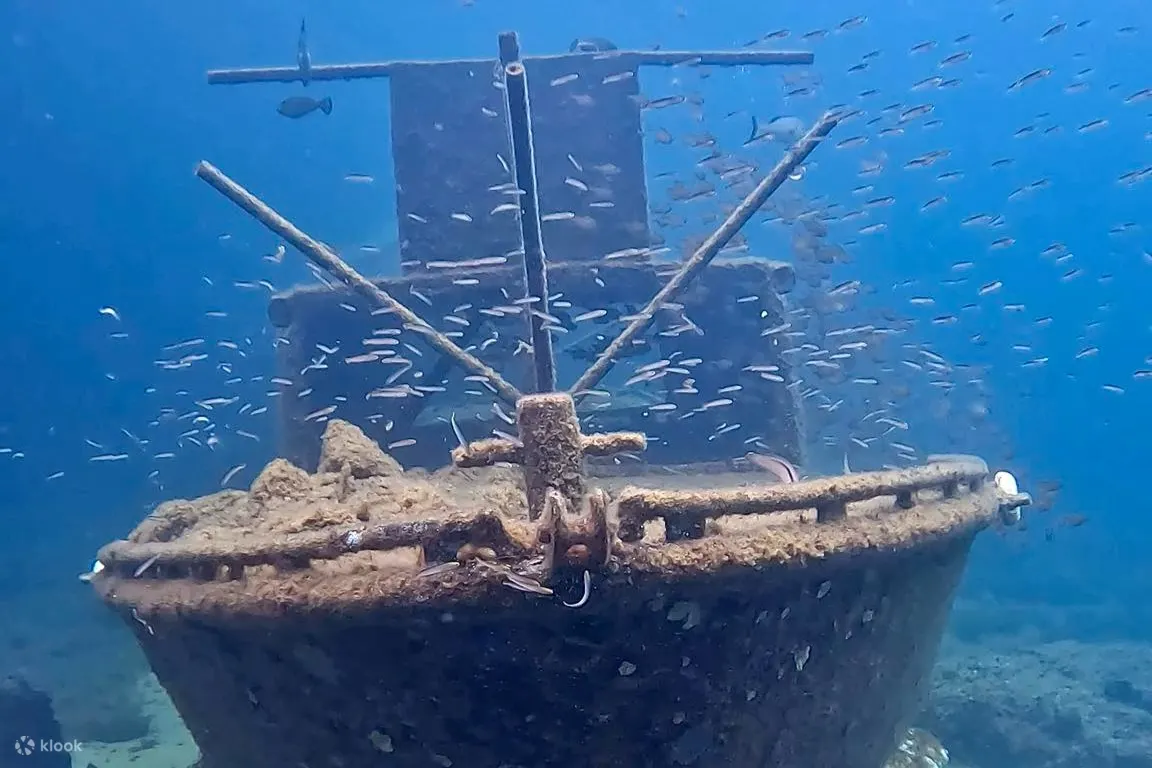 巴瑟尔顿码头雕塑浮潜之旅