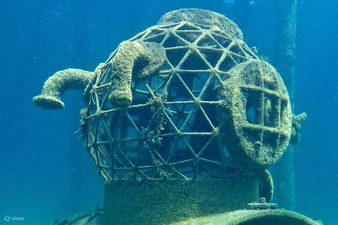 バッセルトン桟橋スカルプチャーズシュノーケリングツアー