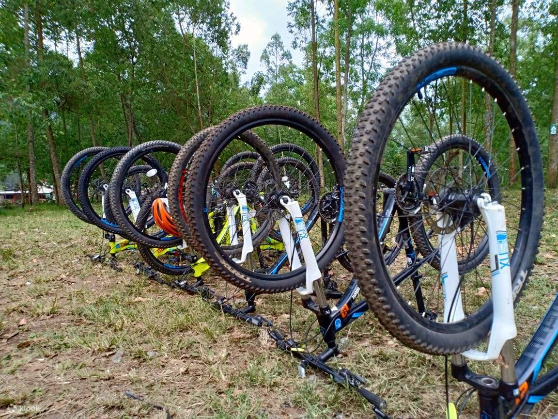 Vous serez équipé d'un vélo standard, d'équipement de sécurité et d'un guide expérimenté