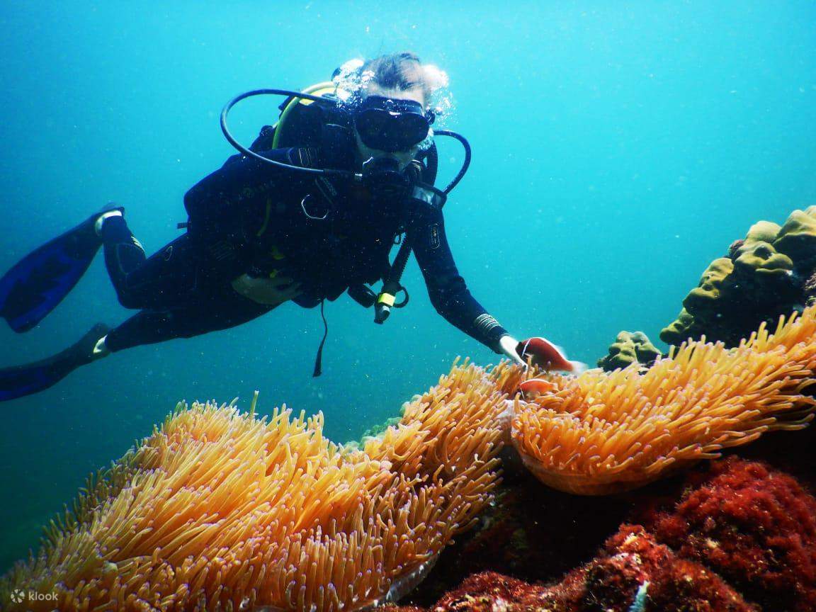 Buceo en el sur de Phu Quoc