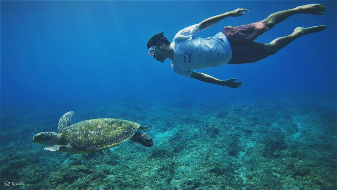 限時6折｜小琉球 | 透明獨木舟 & 浮潛 | 東海岸獨木舟俱樂部