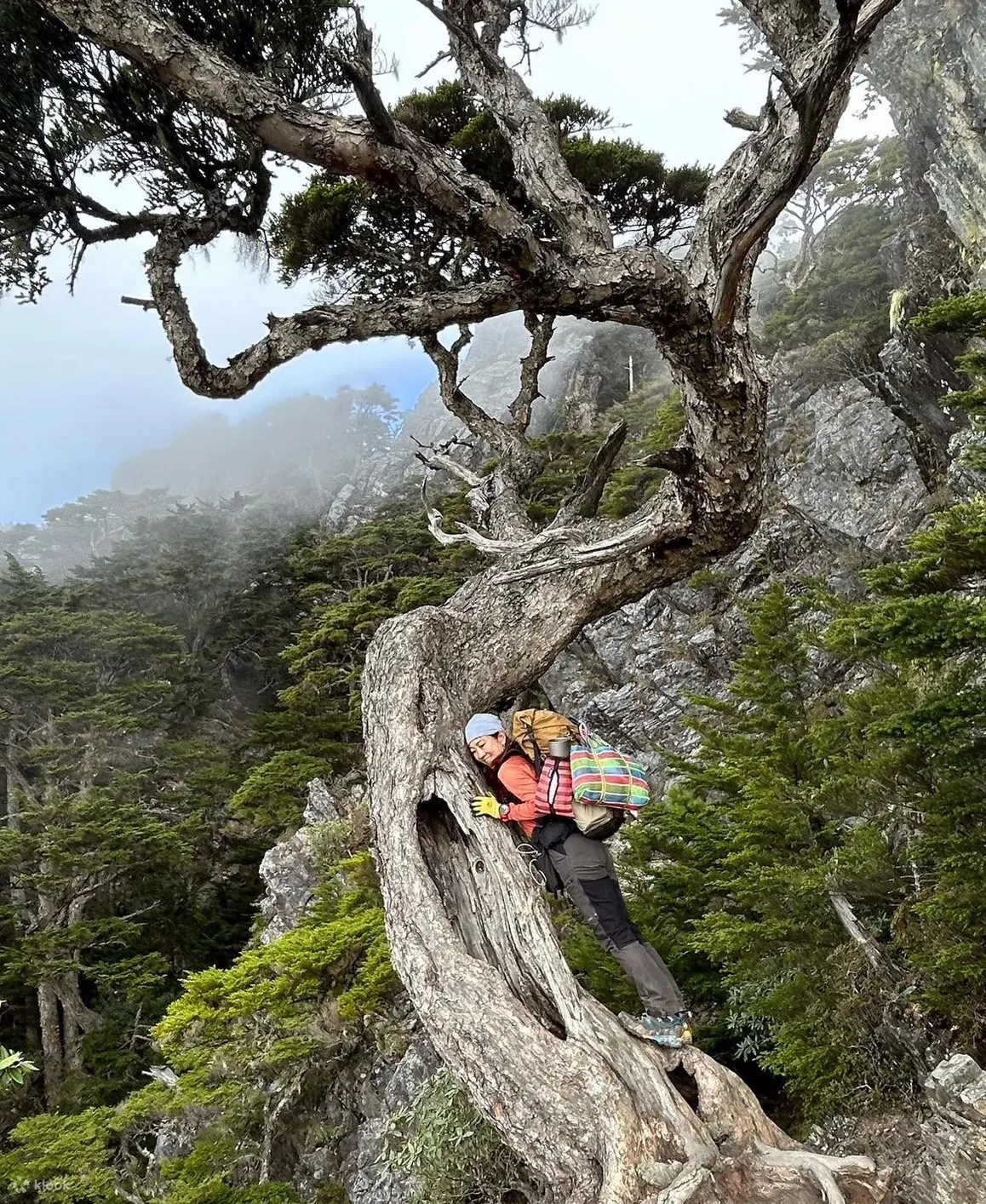 登山包车接驳: 武陵四秀登山口 (台北/新竹/台中出发)