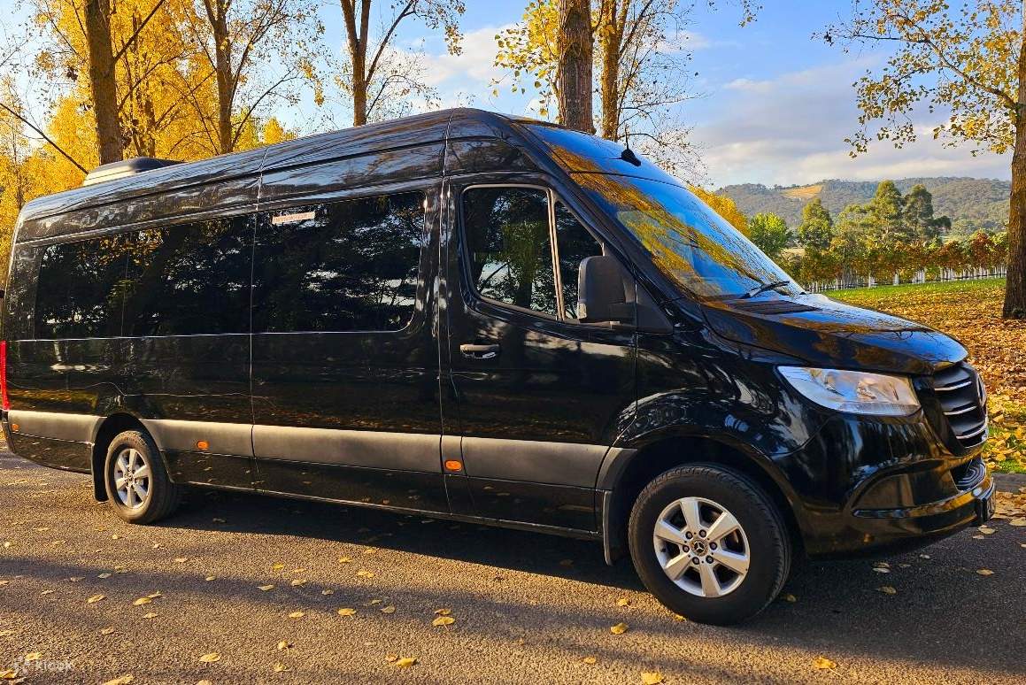 乘坐豪華皮革座椅的 Mercedes Benz，輕鬆暢遊山谷