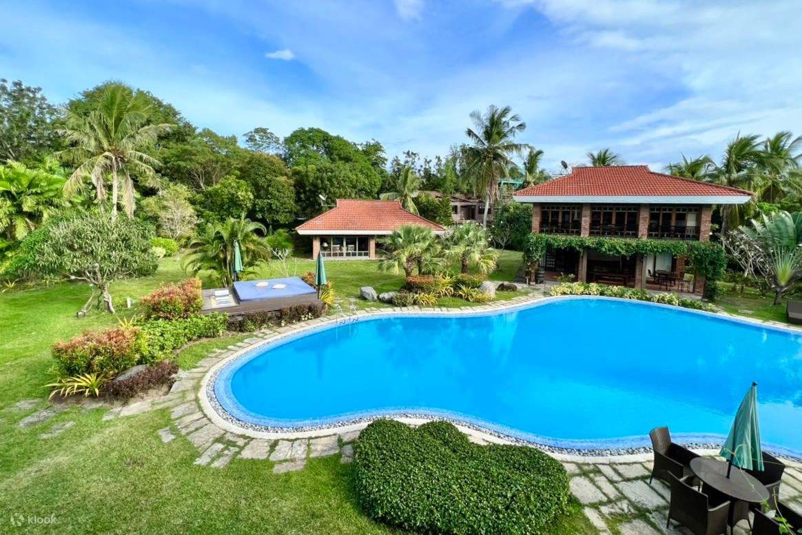 pemandangan kolam renang dari atas