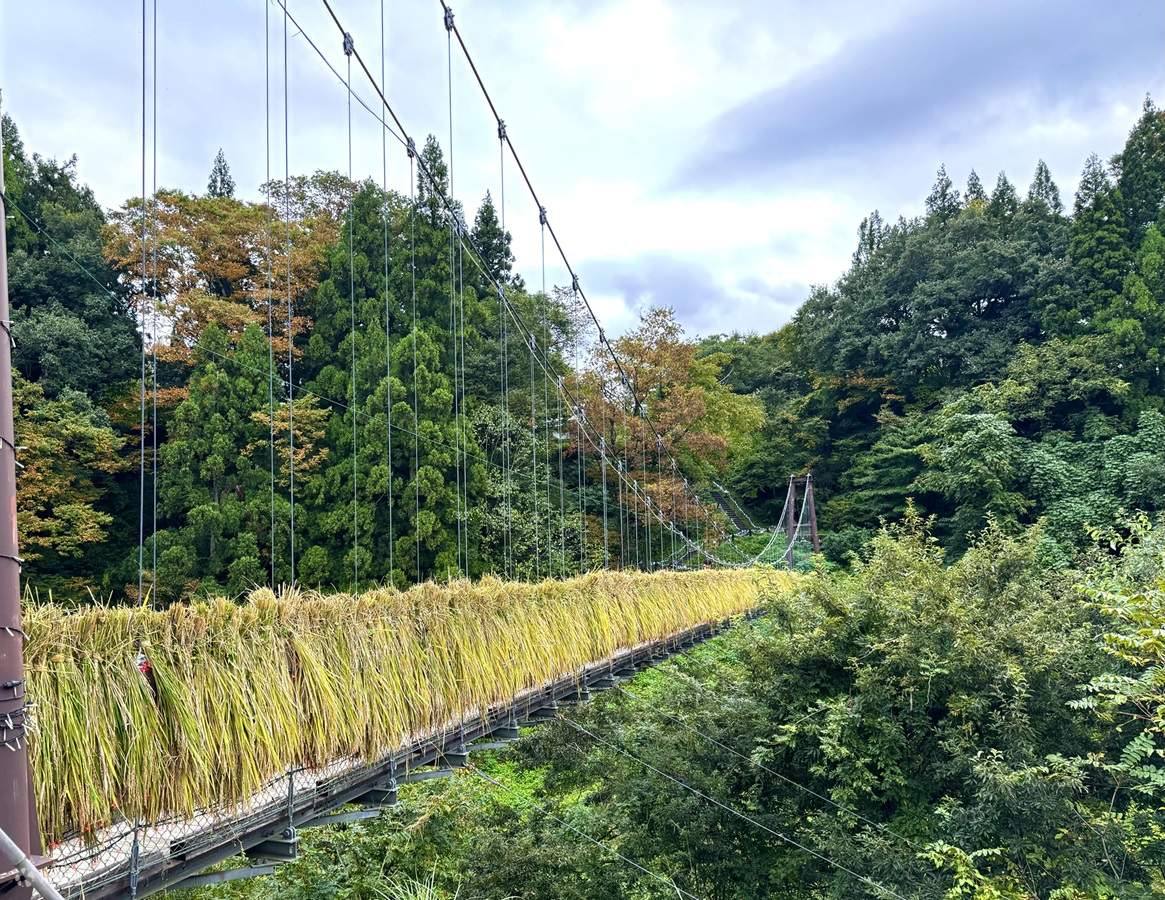 Niigata #39 s Hidden Gems: Autumn Harvest Artistic Cultural Immersion