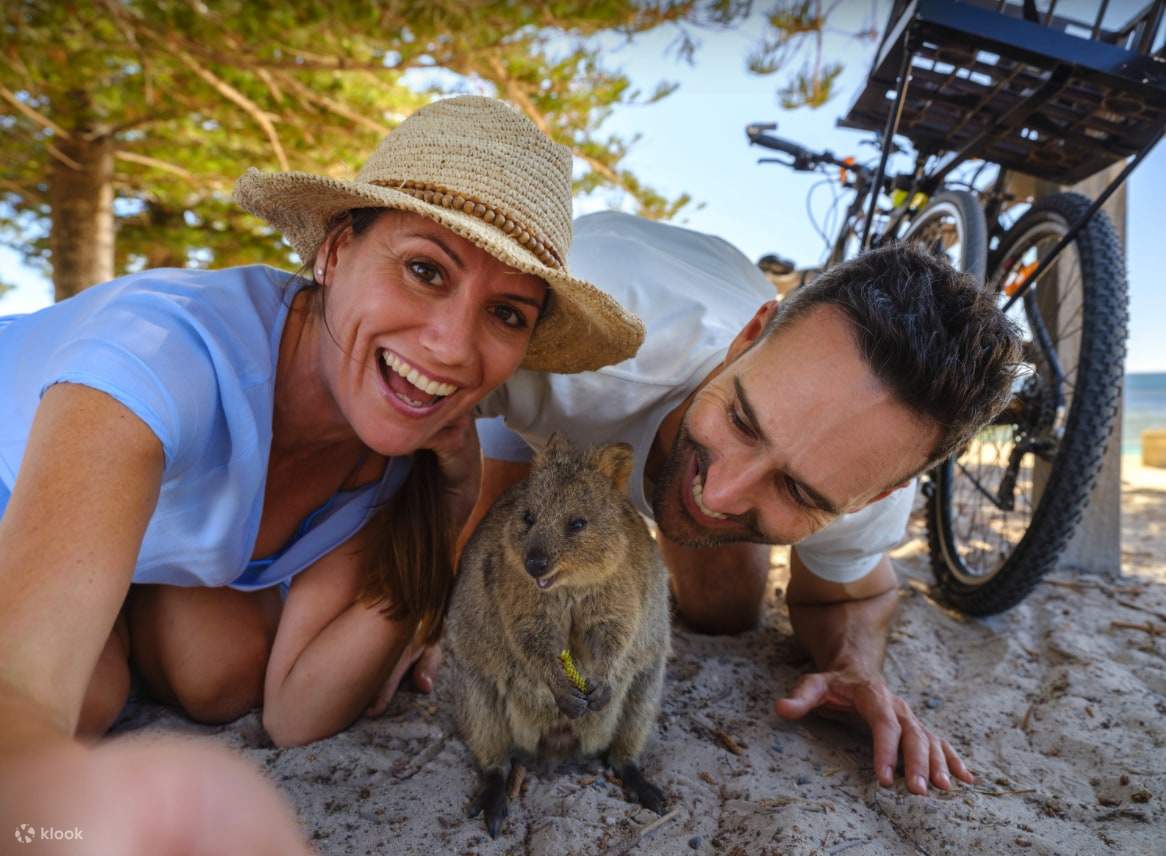 rottnest-island-ferry-bike-and-snorkel-experience-from-perth-klook
