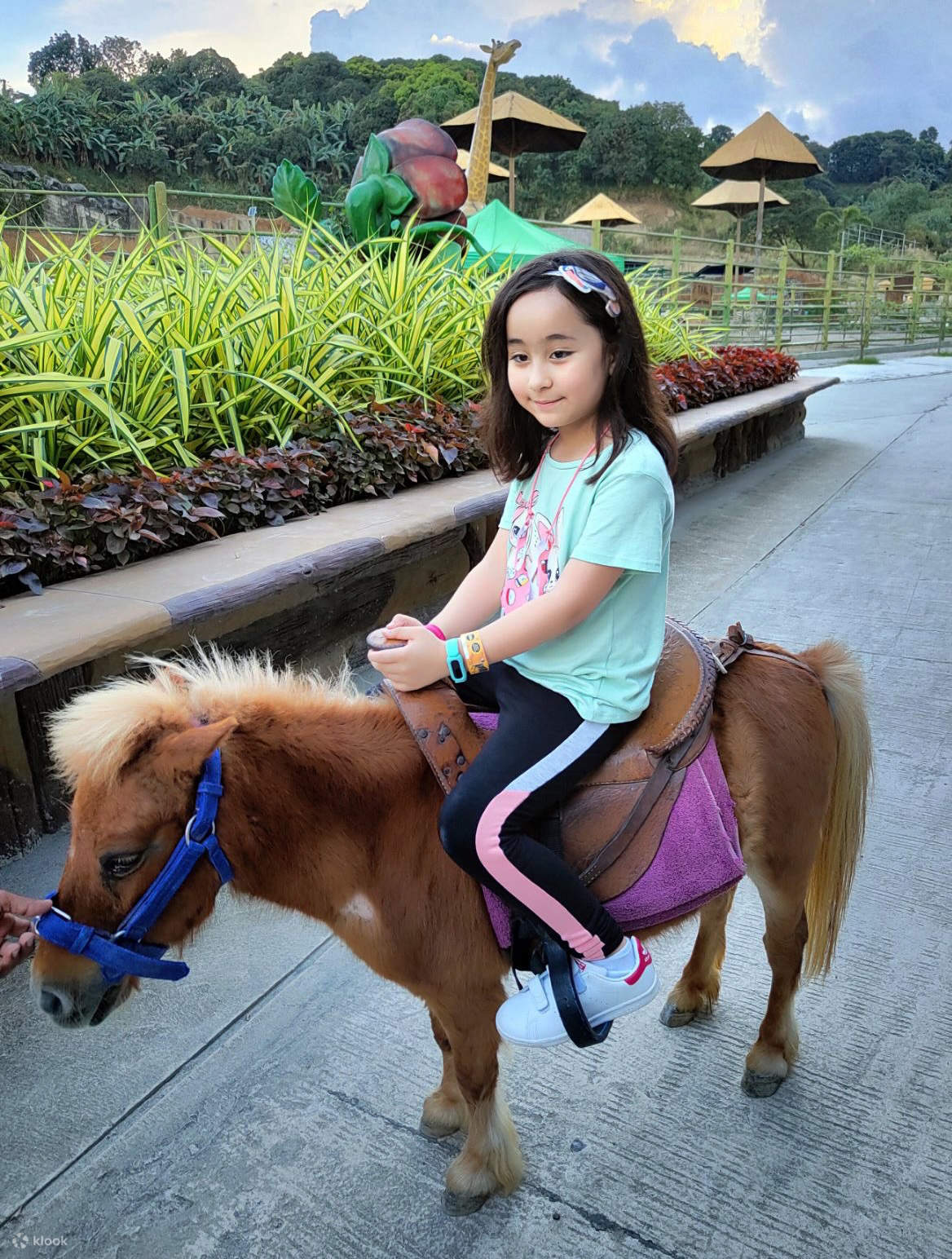 Clark Safari and Adventure Park