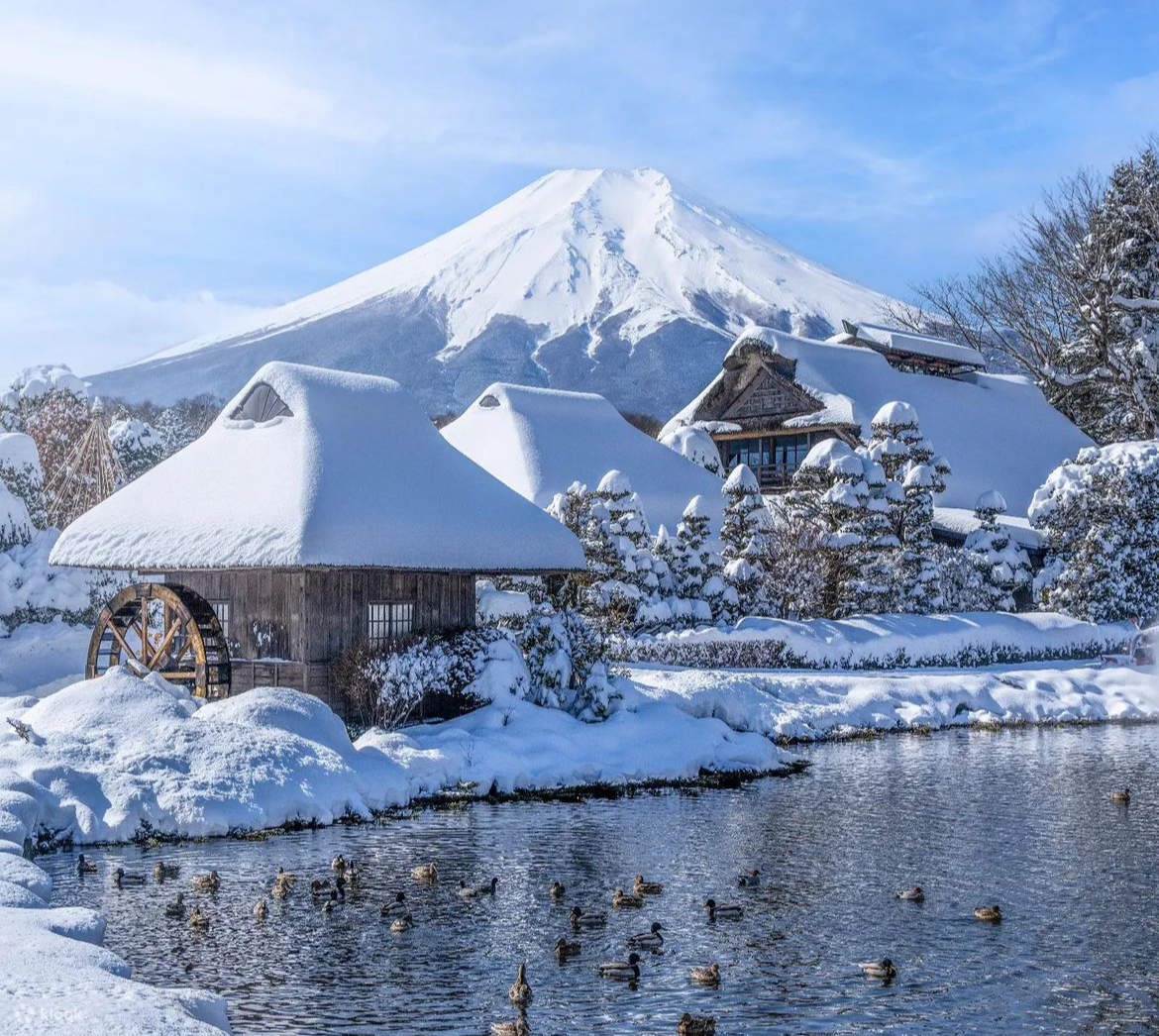 Mount Fuji Arakurayama Park Oshino Hakkai Kawaguchiko Bus Tour From