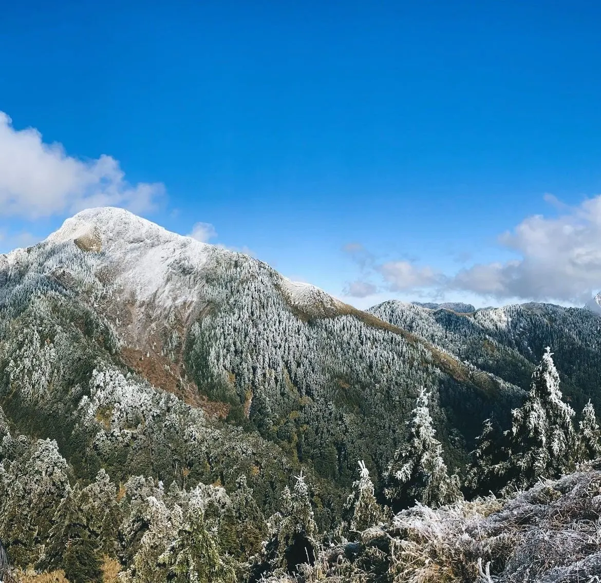 登山包车接驳: 合欢山登山口 (台北/新竹/台中出发)