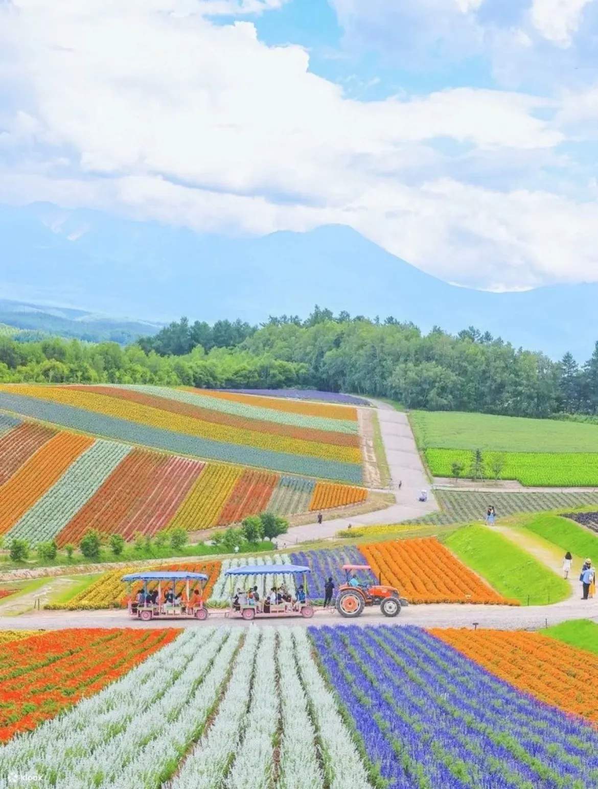 早鳥優惠  春夏季方案