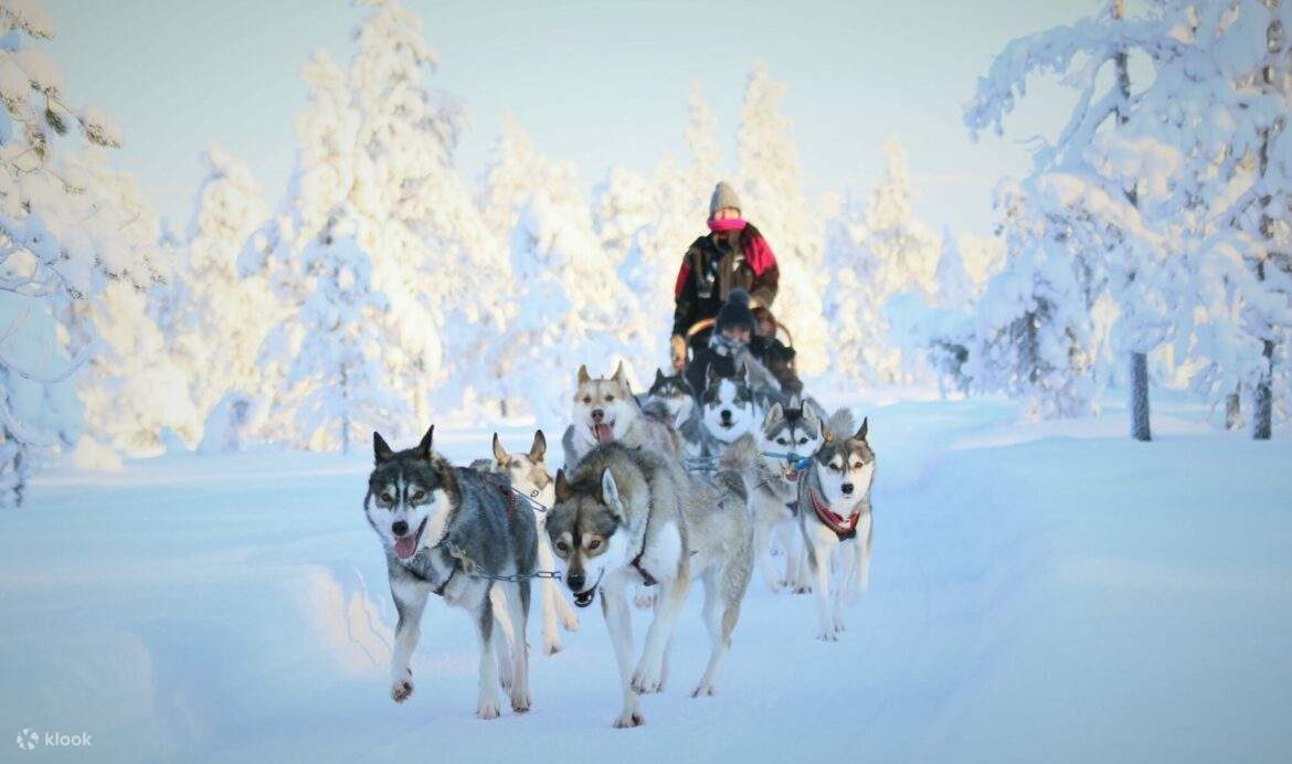 Aventura en trineo de huskies de 7 km 