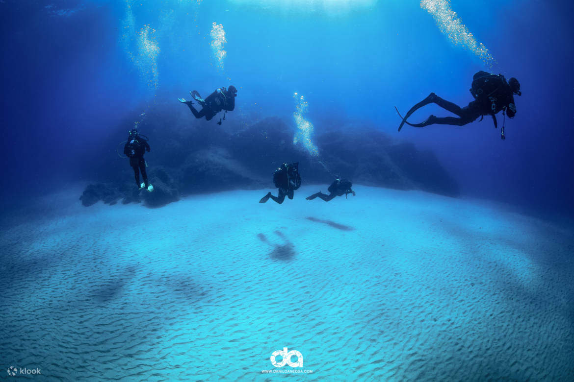 Selami perairan jernih Cala Gonone bersama pemandu pakar kami, dan temui biodiversiti yang kaya di syurga bawah air ini