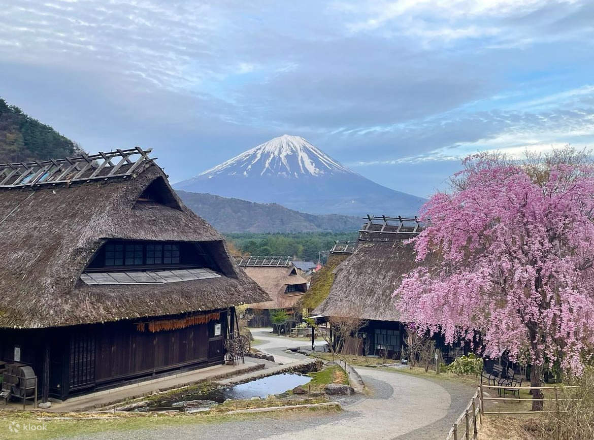 Mount Fuji, Kawakuchiko, and Arakurayama Sengen Park Join In